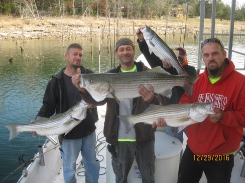 Nice Striped Bass